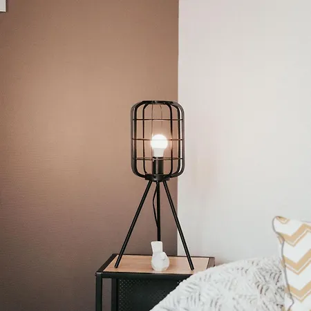 Apartamento Le Cocon De Jaude F2 Hypercentre Avec Ascenseur 52bonnabaud *